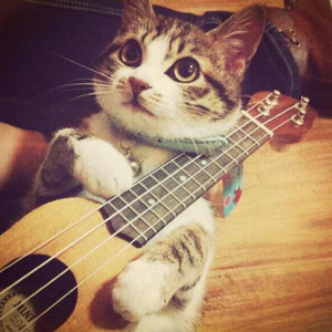 三黑战斗刘玥闺蜜视频
