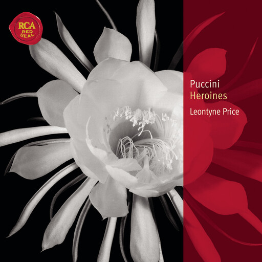 三黑战斗刘玥闺蜜视频
